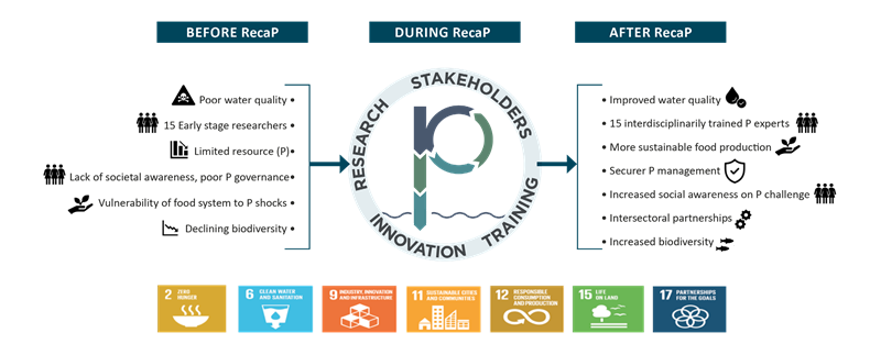 RecaP SDG links infographic showing before, during, and after RecaP impacts Infographic about RecaP SDG links with before-and-after bullet points around a central "rcp" stakeholder, research, training, and innovation diagram, plus SDG icons 2, 6, 9, 11, 12, 15, and 17 at the bottom.