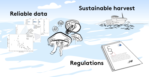 Graphic summary of the article