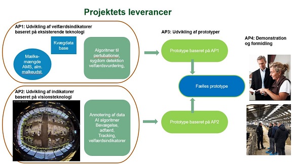 Overview of deliverables in the project