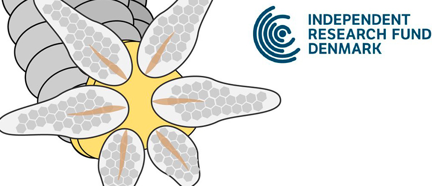 Seeing without seeing illustation and logo