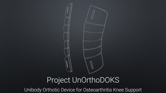 Picture of the knee brace