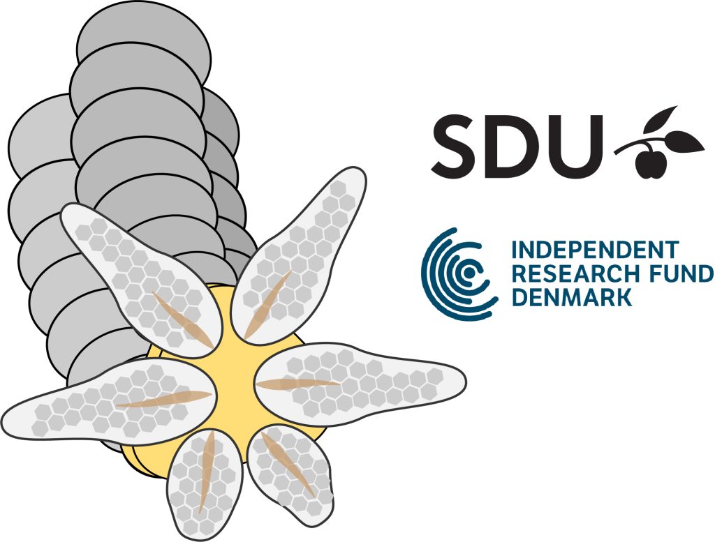 Seing without seeing illustation with logos