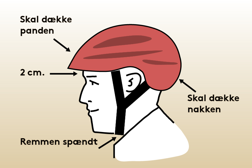 Illustration af hvordan man korrekt skal placere sin cykelhjelm på sit hoved