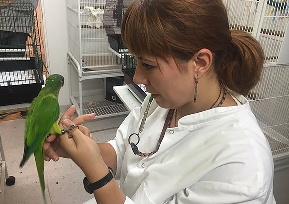 Picture of a woman with a parrot