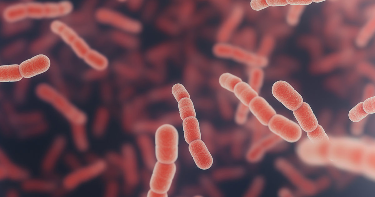 Стрептококк 3. Скарлатину вызывает пневмококк. Диплококки возбудители. Пневмококк бактерия. Микроаэрофильные стрептококки.