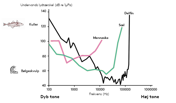 Grafik over forskellige dyrs lydtærskel under vand.