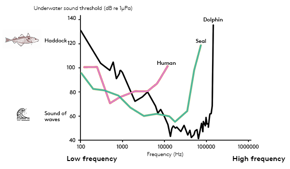 Graphic showing the underwater sound threshold of a number of different animals.