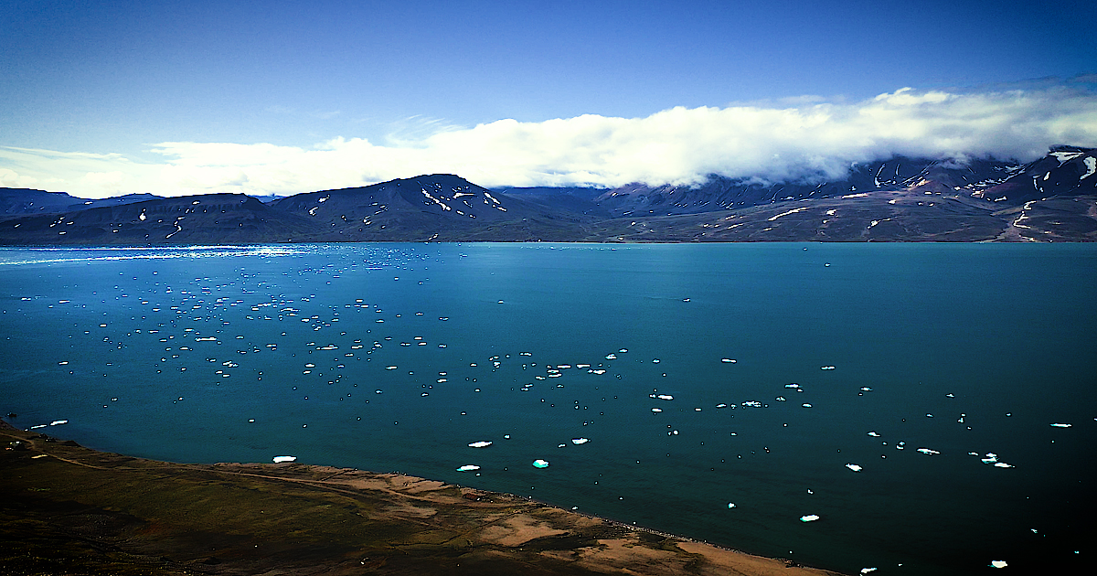 nyt-liv-n-r-isen-smelter-i-det-arktiske-ocean