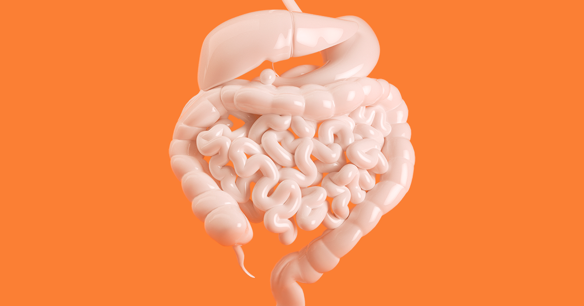 Gut Math Can math help us understand the gut system of obese people? - SDU