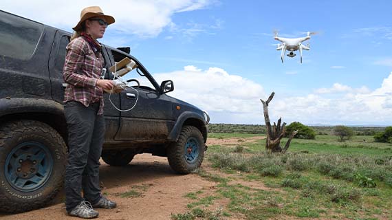 Berri nederlag omdømme Droner skal overvåge vilde dyr - SDU