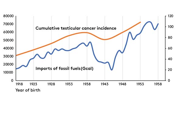 Figure showing development of imports of all fossil fuels for each year and cumulative testicular cancer incidence for each birth cohort.