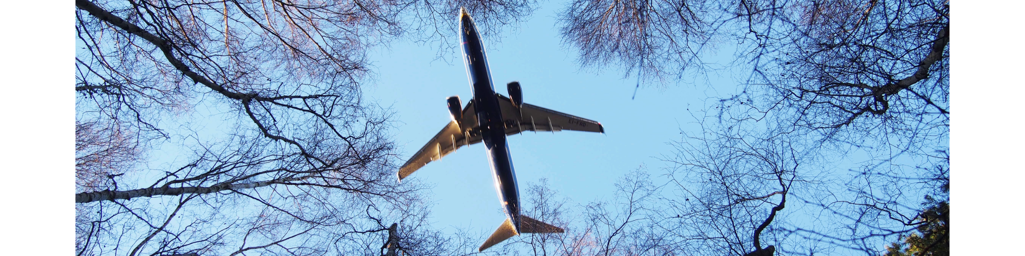 flyet fra business school