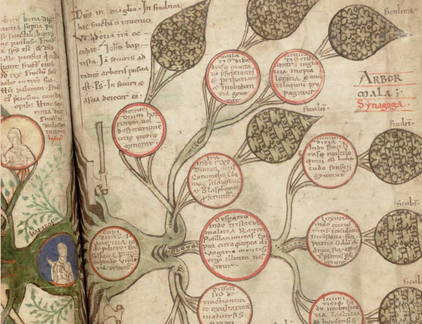 Transformations and translocation image cropped