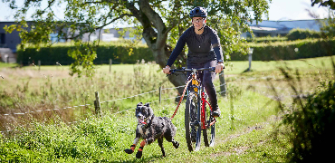 Kvinde cykler med hund i snor i grønt område 