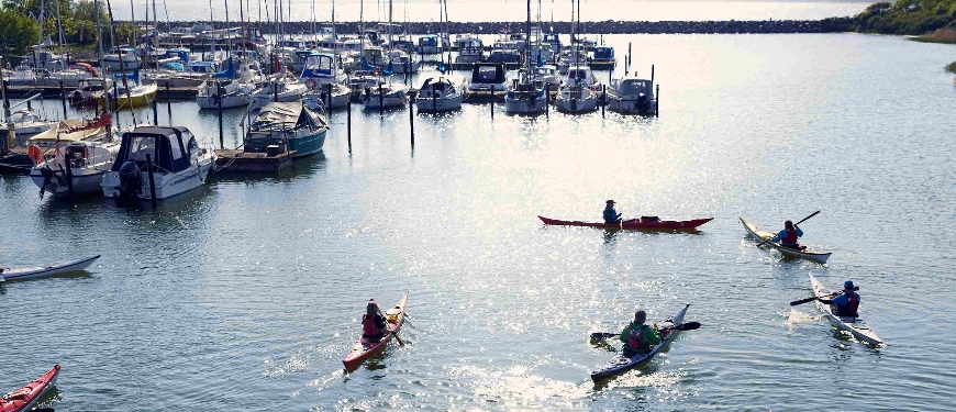 Kajakroere i lystbådehavn