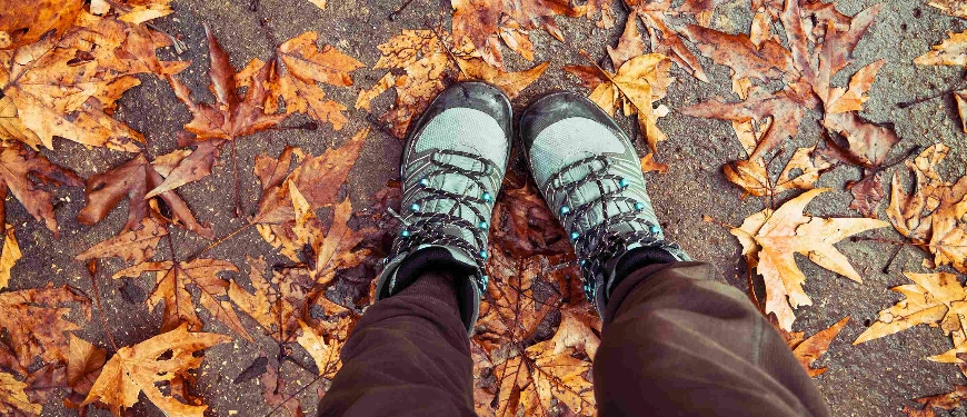Løbesko i efterårsblade