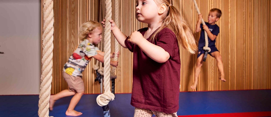 Børn leger i tovene i gymnastiksal