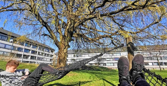 Unge ligger i hængekøjer foran boligblokke 