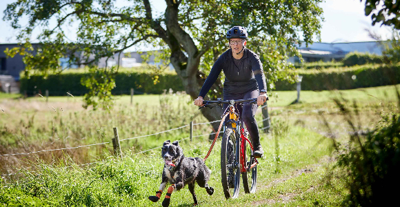 Kvinde cykler med en hund i et grønt område