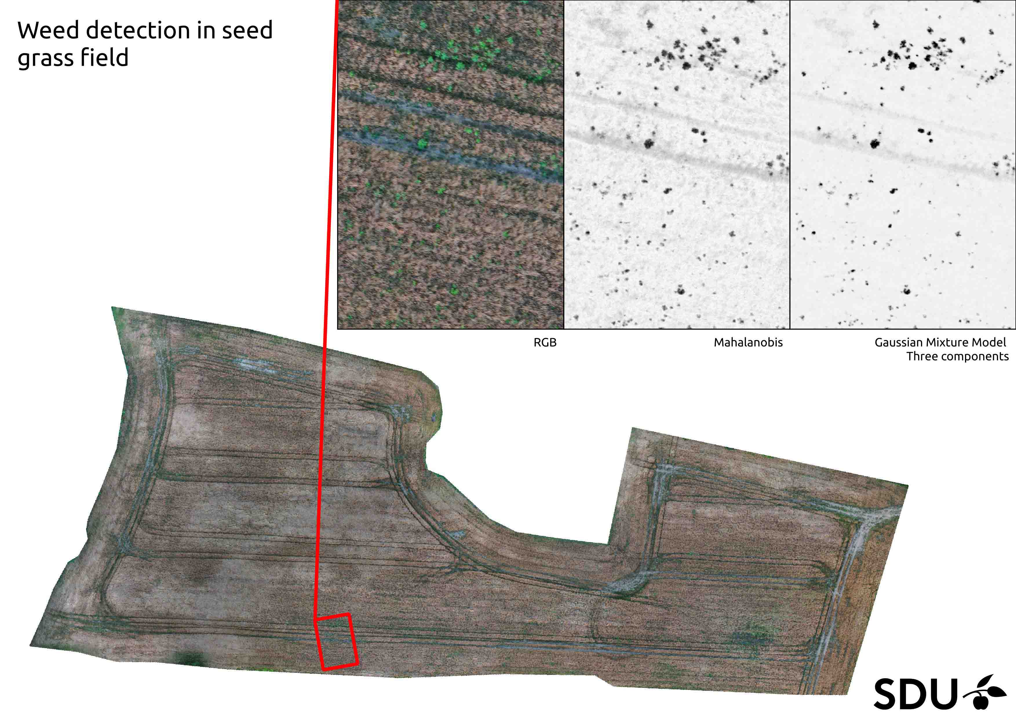 color based weed detection