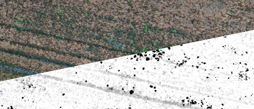 Large-scale drone perception