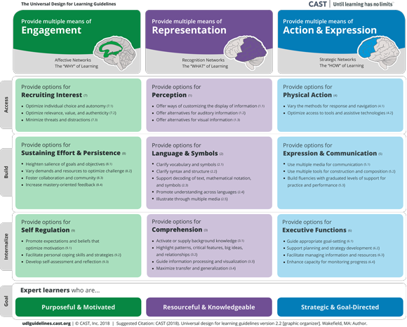 The Universal Design for Learning Guidelines