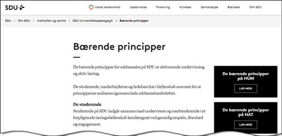 Webside baerende principper