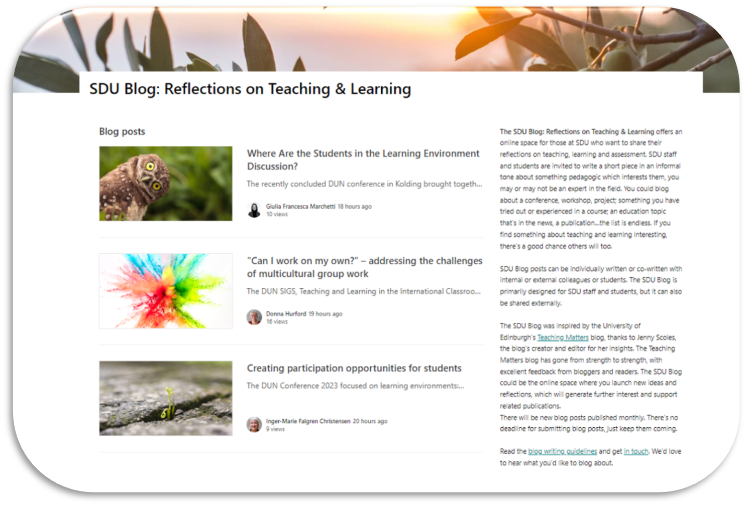 SDU Blog: Reflections on Teaching & Learning