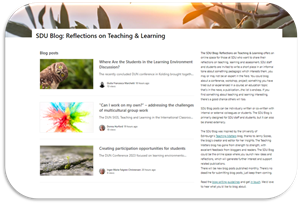 SDU Blog: Reflections on Teaching & Learning