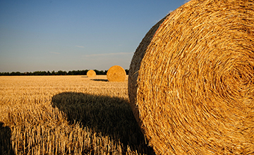 © Gerhard Bögner, https://pixabay.com/