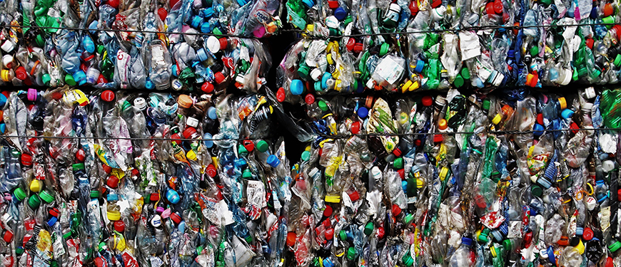 Pixabay.com / pasja1000