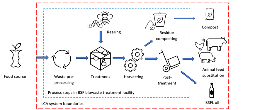 by Kristyna Davidova