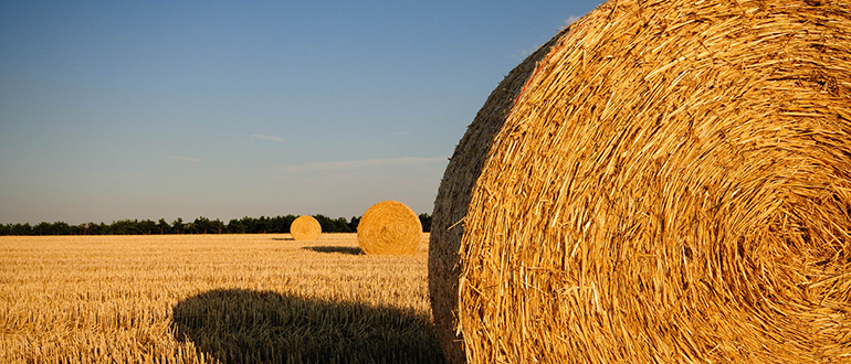 © Gerhard Bögner, https://pixabay.com/