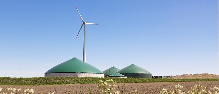 © www.colourbox.com