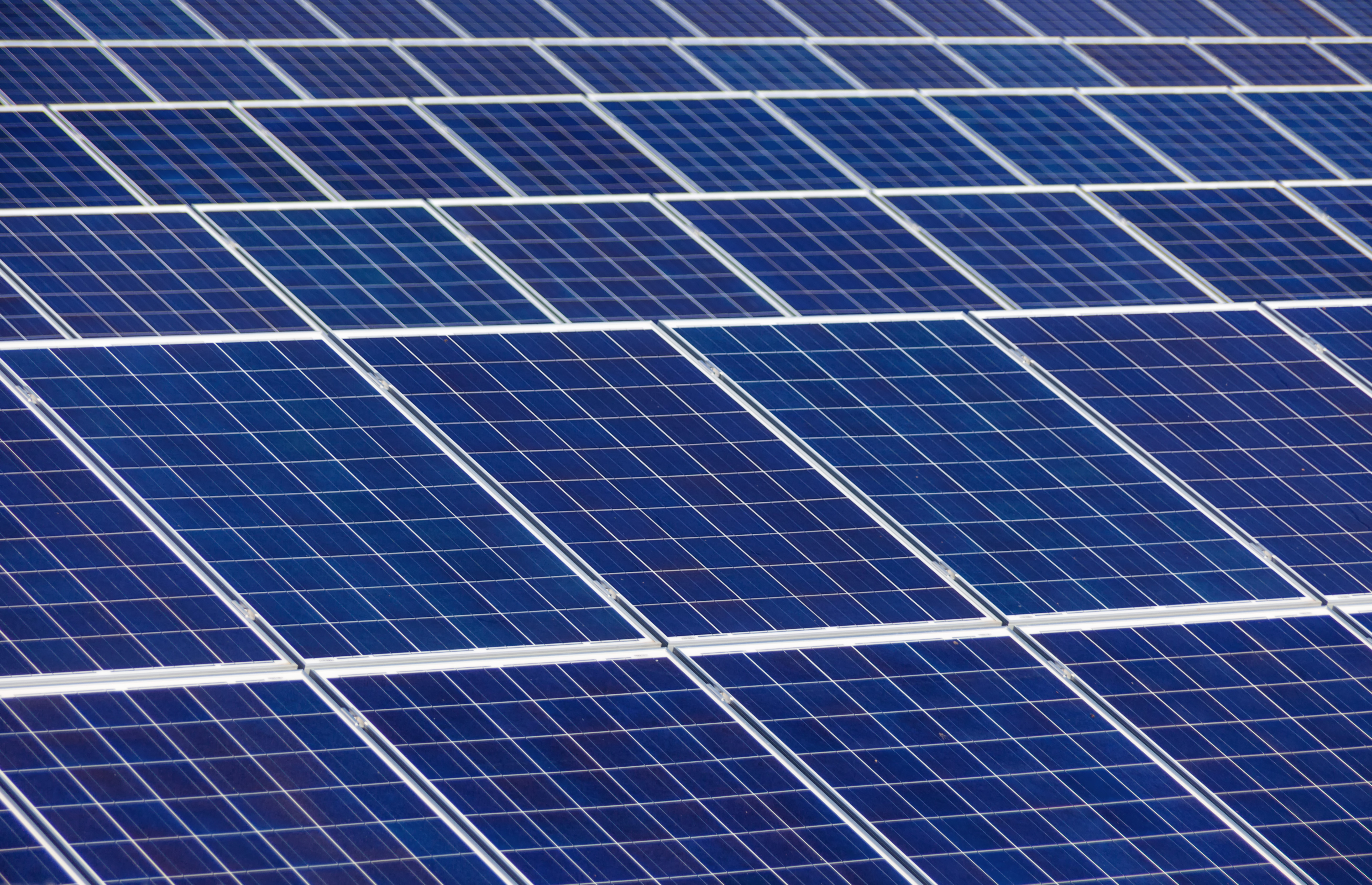 Colourbox.com / Erwin Wodicka