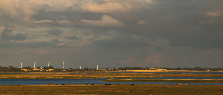  © M Wesnæs, SDU Life Cycle Engineering