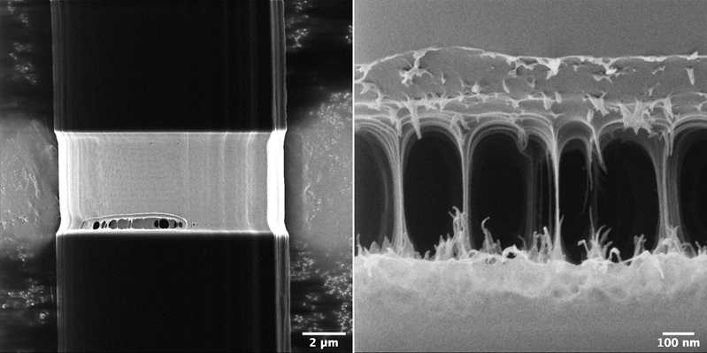 Single spider silk fiber. Outer protein layers are removed by Gallium ions (left). When the process continues, the internal structure becomes visible (right). Images are taken with Helium ions.