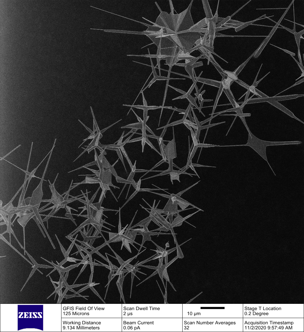 SEM image of tetrapods.