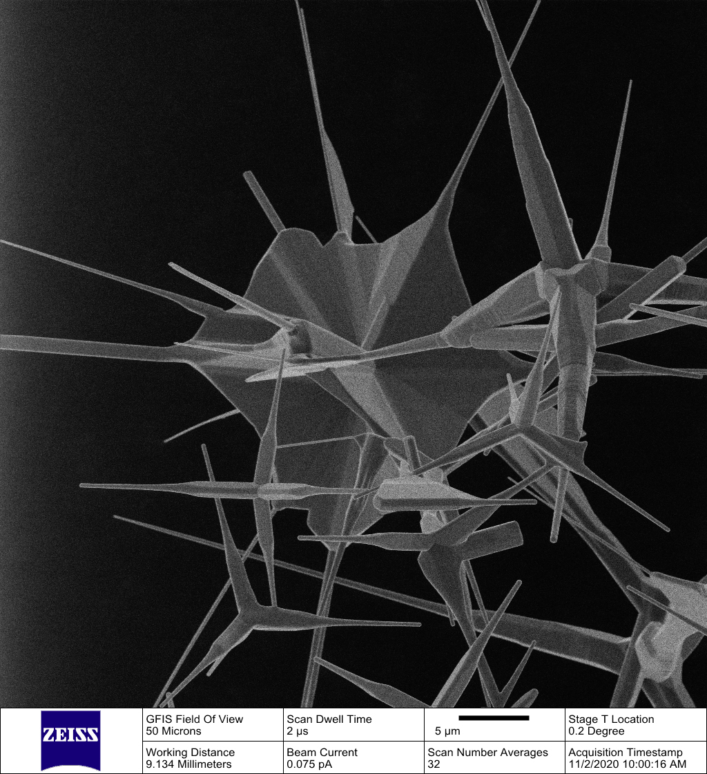 SEM image of tetrapods.