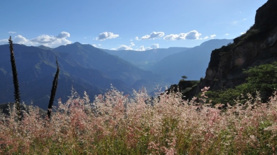 Peru landscape