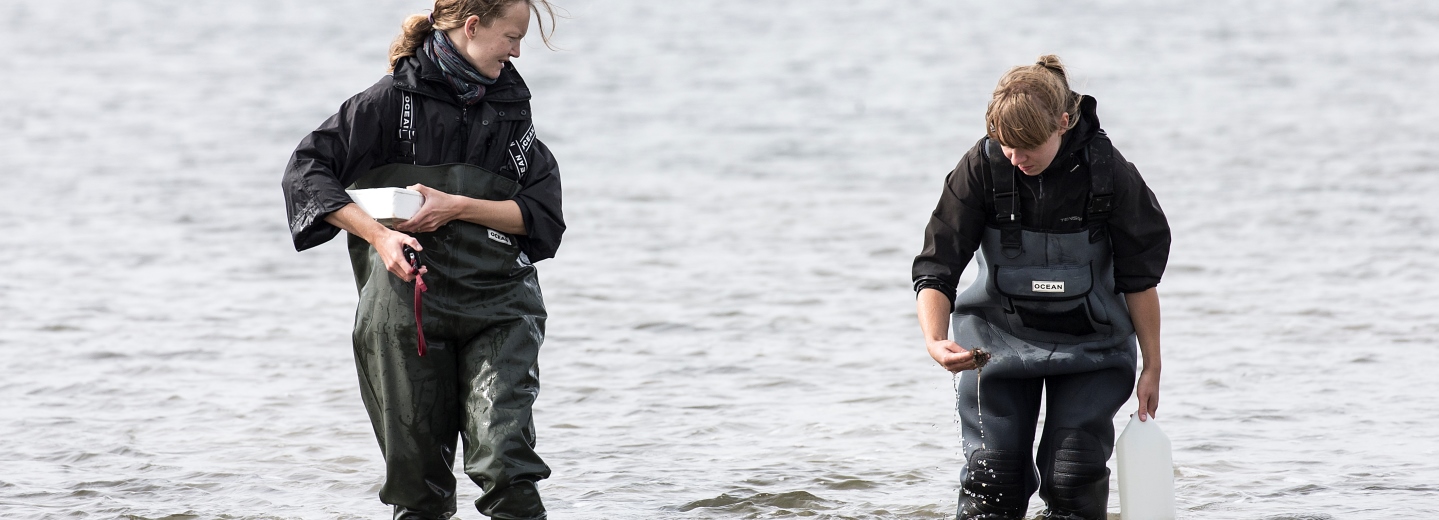 To biologer i waders står i vand og undersøger prøver, mens teksten "OCEAN" ses på deres udstyr.