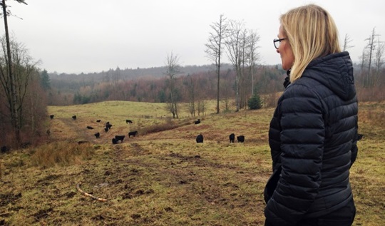 Professor Marianne Holmer ved kvæget i Svanninge Bjerge.