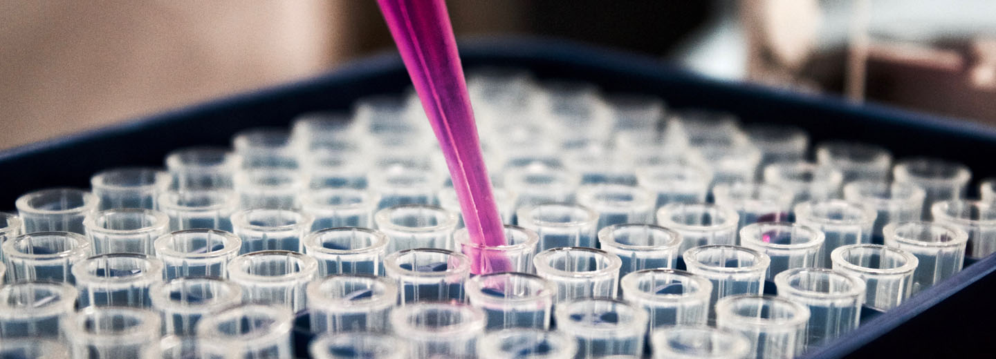 Pink pipette over en bakke med små gennemsigtige laboratoriebeholdere.