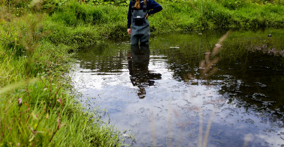 Large amounts of phosphate end up in Nature's waterways and must be removed from wastewater. plants.