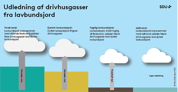 Infografik med teksten "Udledning af drivhusgasser fra lavbundsjord", der viser fire typer lavbundsjord og vandforhold med forskellig udledning markeret som "Stor udledning", "Lille udledning" og "Ingen udledning".