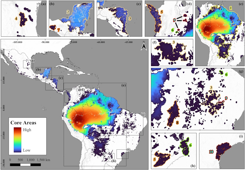 A map of jaguar living areas in South and Meso America. 