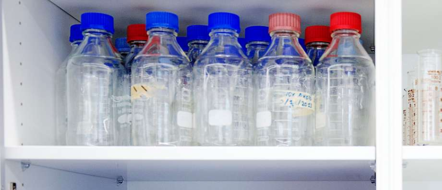 Glass bottles on a shelf