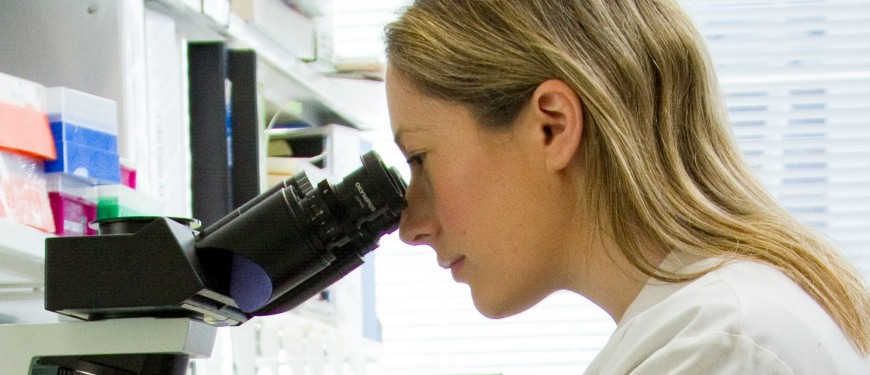 A female scientist in a laboratory looks through a microscope.