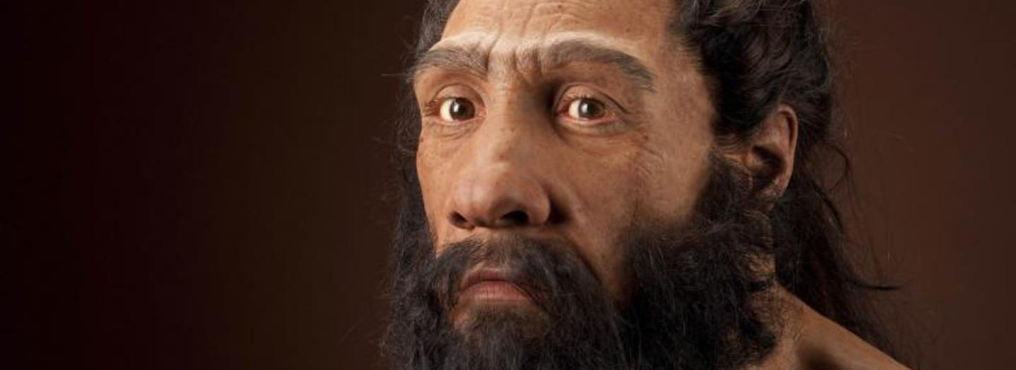 Tæt portræt af en neandertalerrekonstruktion med mørkt hår, skæg og markante øjenbryn.
