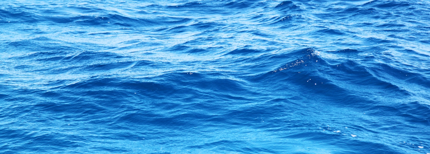 Blue ocean water with gentle rolling waves and ripples.